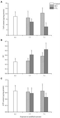 An Explanation Based on Energy-Related Changes for Blue Mussel Mytilus edulis Coping With Seawater Acidification